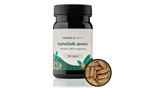 Kotvičník zemní kapsle - extrakt s 90% saponinu