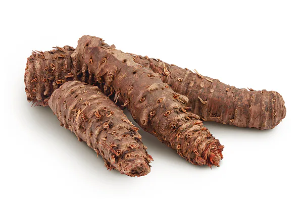 rozchodnice růžová
