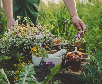 Jaké bylinky sbírat na jaře a jak je využít