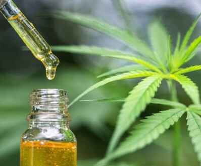 TYPY CBD OLEJOV