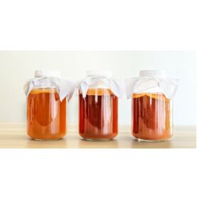 KOMBUCHA, SCOBY