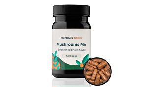 Hubová zmes Vitality - podpora tela a mysle