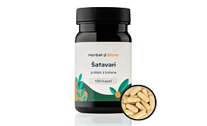 Šatavari kapsule - prášok z koreňa
