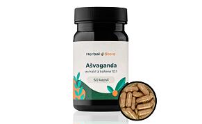 Ašvaganda kapsule - extrakt z koreňa 10:1