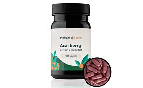 Acai Berry kapsule - extrakt z plodov 10:1