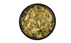 Ginkgo biloba - drvené listy