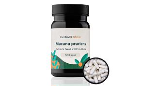 Mucuna pruriens kapsule - extrakt z fazule s 98% L-DOPA