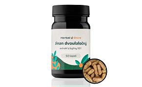Ginkgo biloba kapsule - bylinný extrakt 10:1