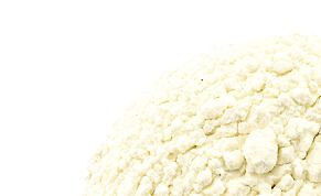Mucuna pruriens - extrakt z fazolí s 98% L-DOPA