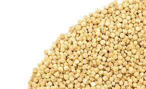 Quinoa - biele semená