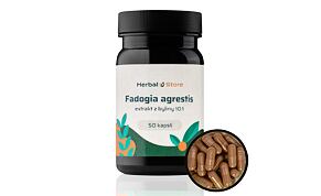 Fadogia agrestis kapsule - extrakt 10:1