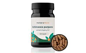 Echinacea purpurea kapsule - extrakt 10:1