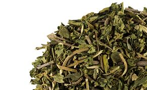 Gymnema sylvestre - drvená bylina