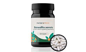 Boswellia serrata kapsule - extrakt so 65 % kyseliny boswellovej