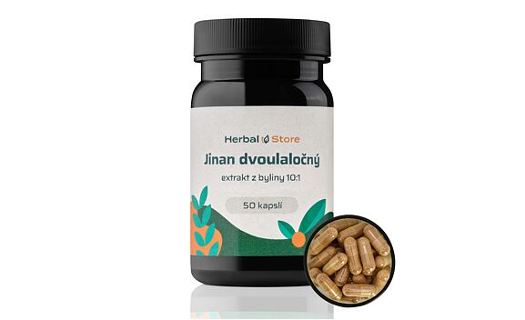 Ginkgo biloba kapsule - bylinný extrakt 10:1