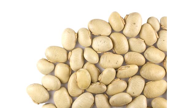 Mucuna pruriens - celé fazole