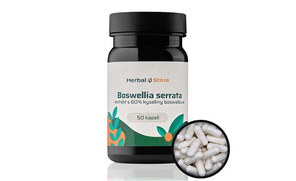 Boswellia serrata kapsule - extrakt so 65 % kyseliny boswellovej