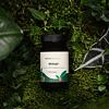 Shilajit kapsle