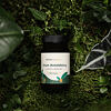 Ginkgo biloba kapsle - extrakt z byliny 10:1