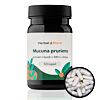 Mucuna pruriens kapsule - extrakt z fazule s 98% L-DOPA