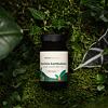 Garcinia cambogia kapsule - extrakt z plodov s obsahom 60 % HCA