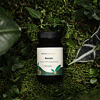 Reishi kapsle 