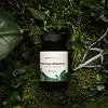 Moringa kapsle